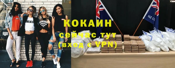 дживик Абаза
