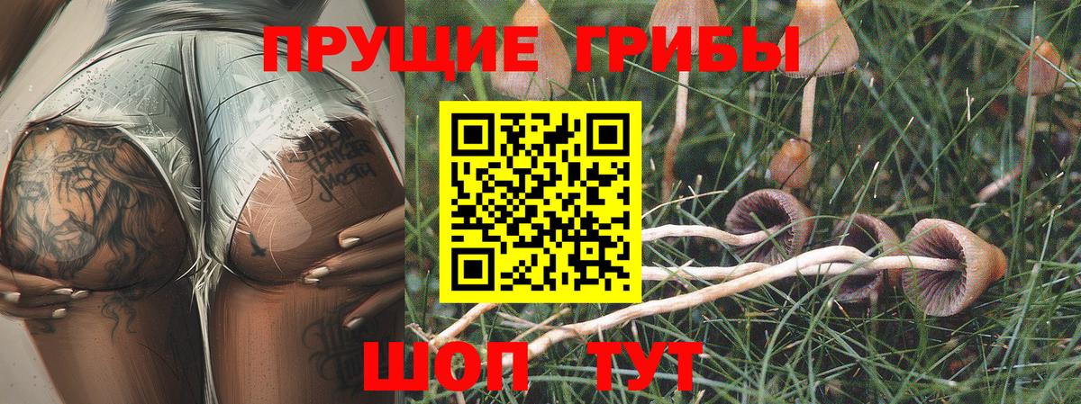Псилоцибиновые грибы прущие грибы  Галлюциногенные грибы мухоморы  хочу   Тверь  Вход с VPN 