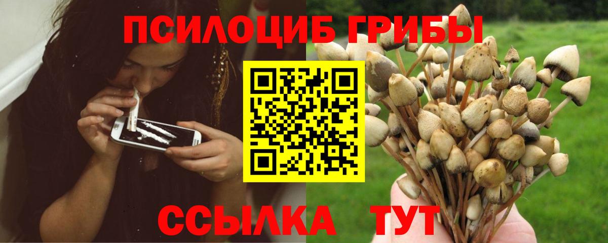 Псилоцибиновые грибы Magic Shrooms Тверь